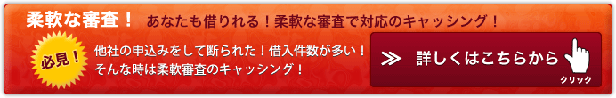 柔軟キャッシング