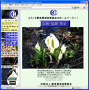 Qn݋Ƌ̌TCg